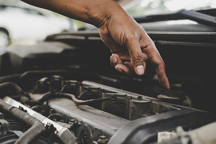 Realizzazione software custom e sito per Nervesa Autorecupero - Neroavorio (Padova)